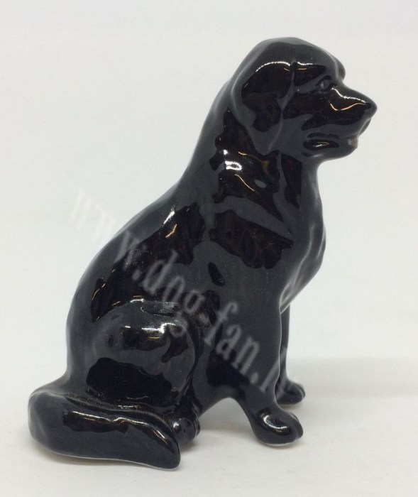 Newf_black-1-um copy